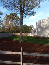 Coastal New England Cape House Tourism Bookings