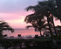 Coconut Beach Resort Tourism Bookings