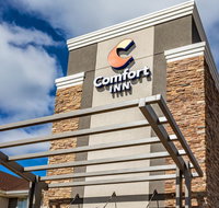 Comfort Inn - Tourism Bookings