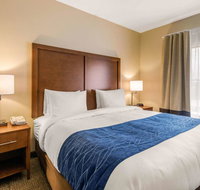 Comfort Inn  Suites IAH Bush Airport  East - Tourism Bookings