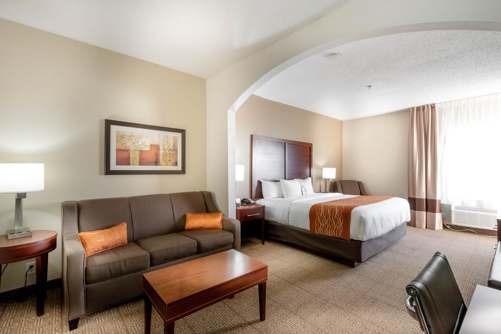 Comfort Inn & Suites Love Field  Dallas Market Center - thumb 1