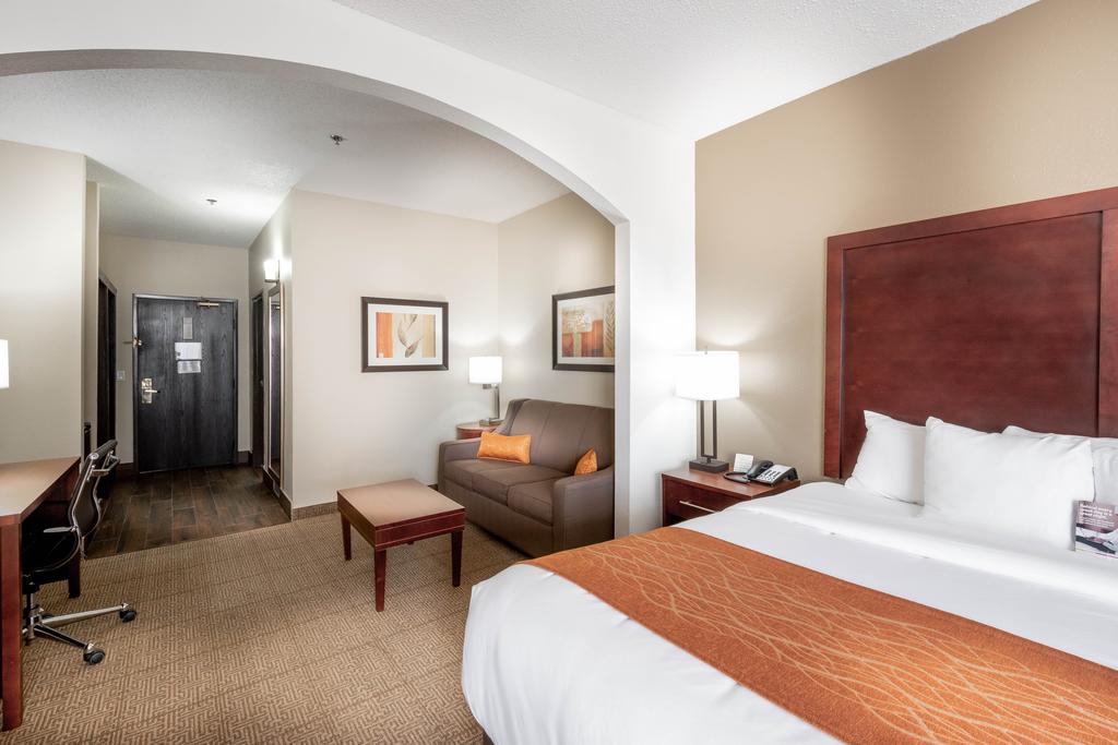 Comfort Inn & Suites Love Field  Dallas Market Center - thumb 2
