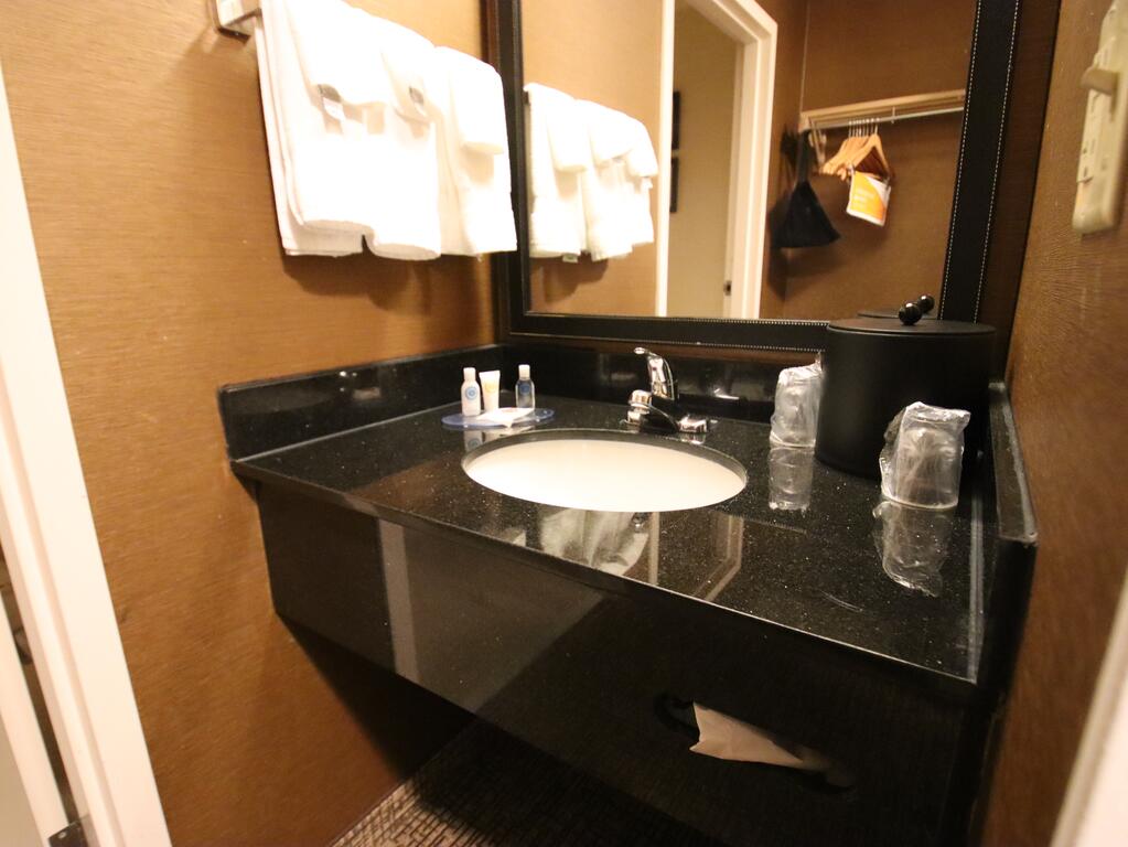 Comfort Inn & Suites North Dallas-Addison - thumb 3