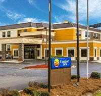 Comfort Inn At the Park - USA Accommodation
