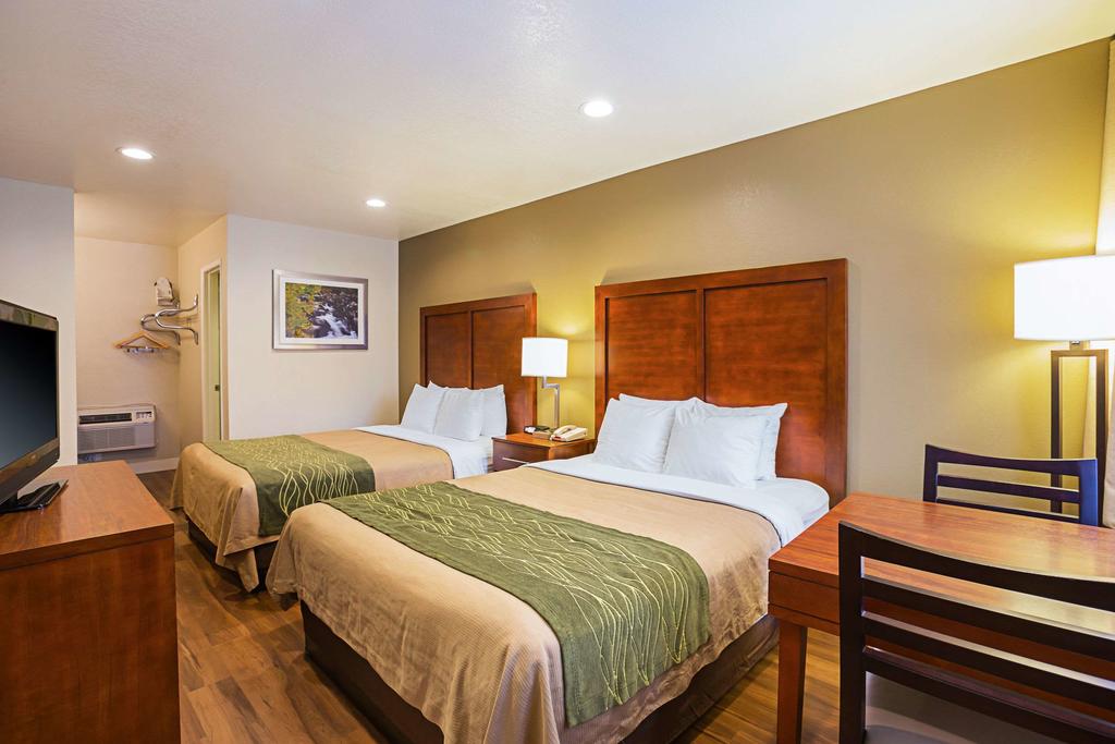 Comfort Inn Bishop - thumb 1