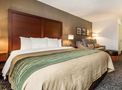 Comfort Inn Humboldt Bay - Eureka