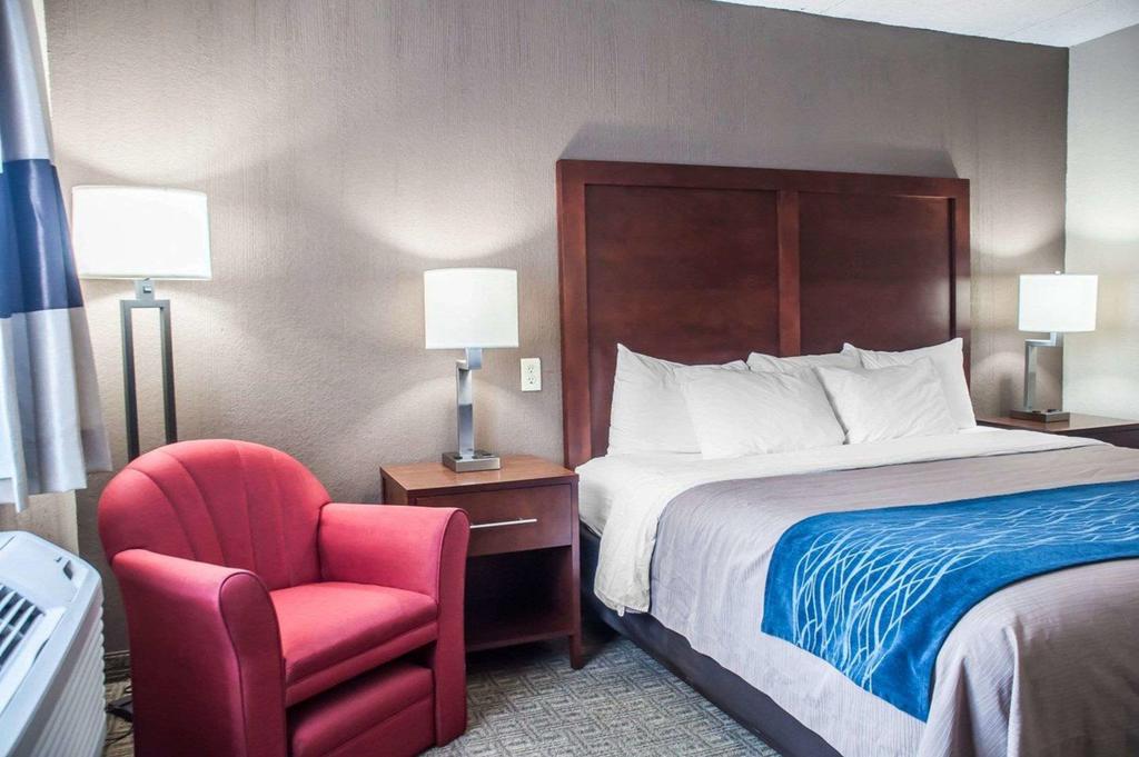 Comfort Inn University - thumb 1