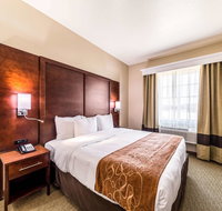 Comfort Suites Grand Prairie - Arlington North - Tourism Bookings