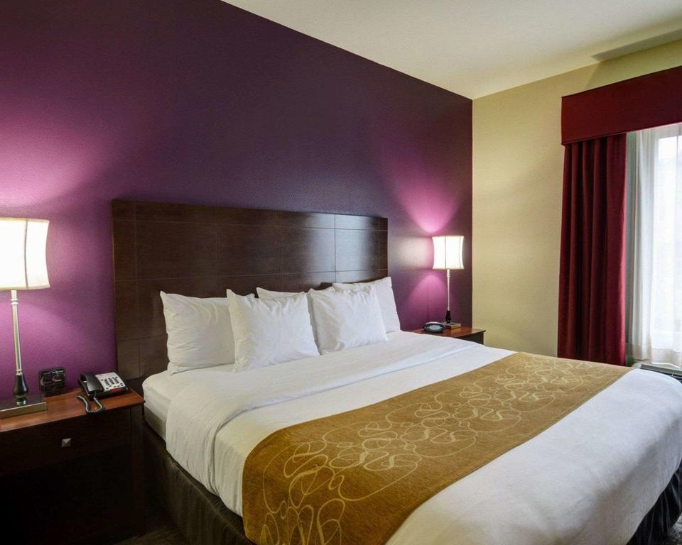 Comfort Suites Little Rock - thumb 1