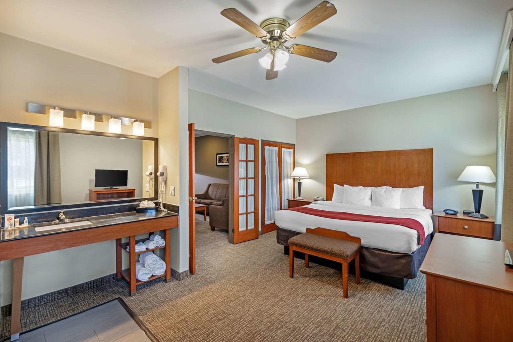 Comfort Suites North Dallas - thumb 3