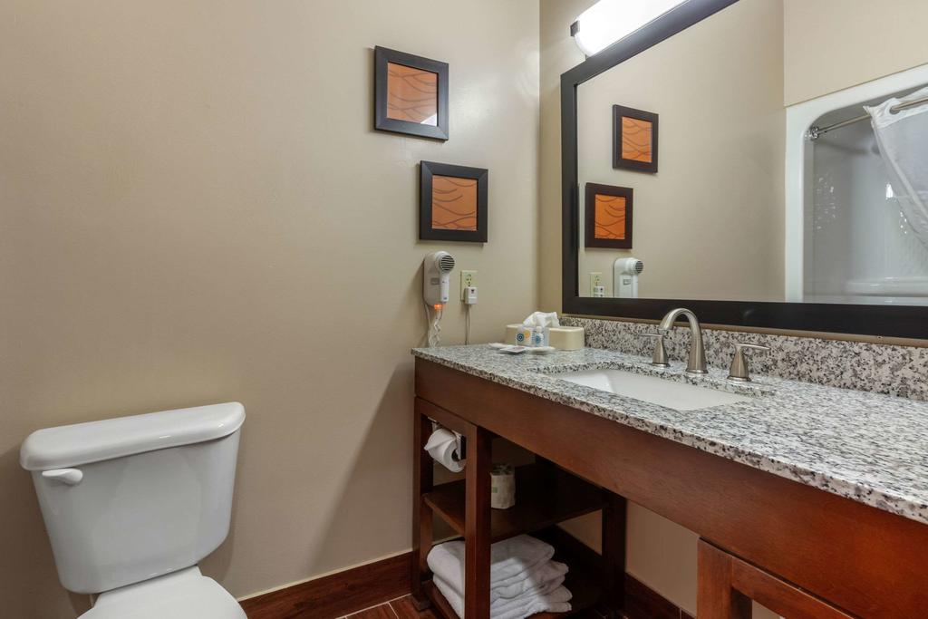 Comfort Suites Rolla - thumb 1