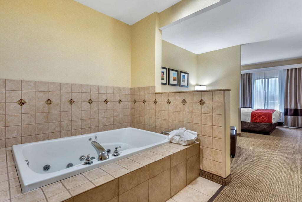 Comfort Suites South Elkhart - thumb 3