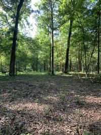 Comfy Camping At 3 Rivers Tourism Bookings