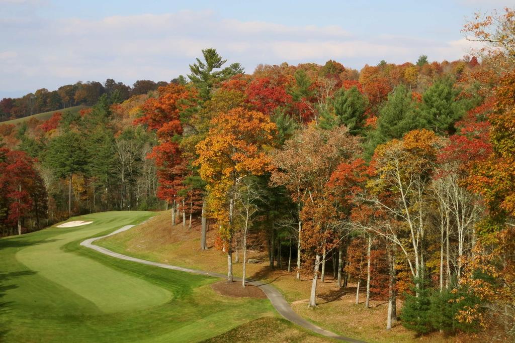 Condo On Golf Course - Mins To Lake Glenville - thumb 2