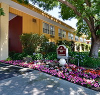 County Inn - Tourism Bookings