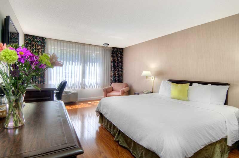 County Inn - thumb 2