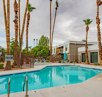 Cozy Apts West of ASU by WanderJaunt - Tourism Bookings