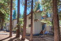 Cozy Bear Lodge by Lake Tahoe Accommodations Tourism Bookings