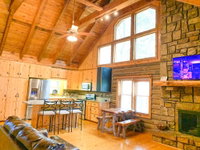 Cozy Cabin in the City Tourism Bookings