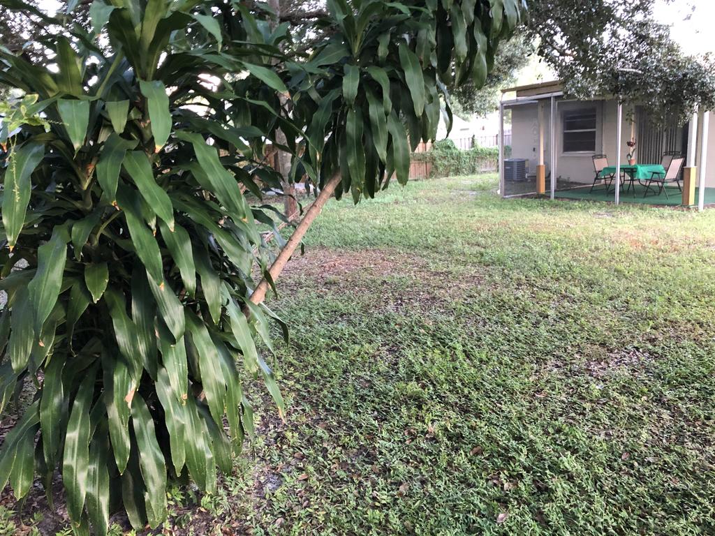 Cozy House With Fenced Yard Close To The Beaches - thumb 1