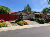 Cozy spacious studio - for you and your pet Tourism Bookings