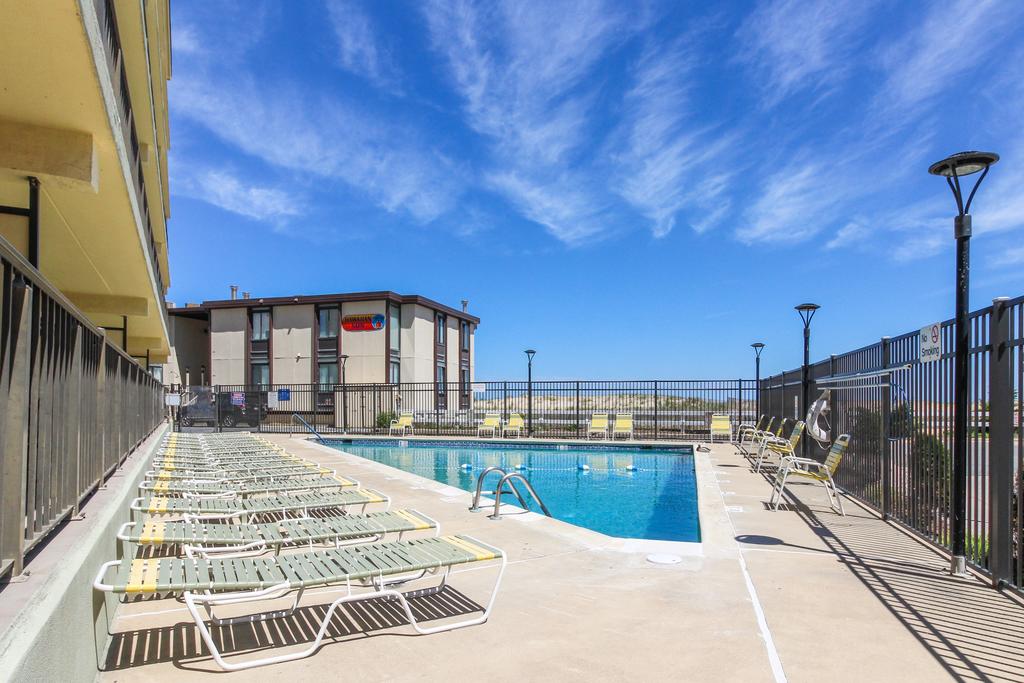 Dazzling Diamond Head - thumb 2