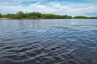 De Soto Studio - Ideal for Couples Walk to Main St USA Accommodation