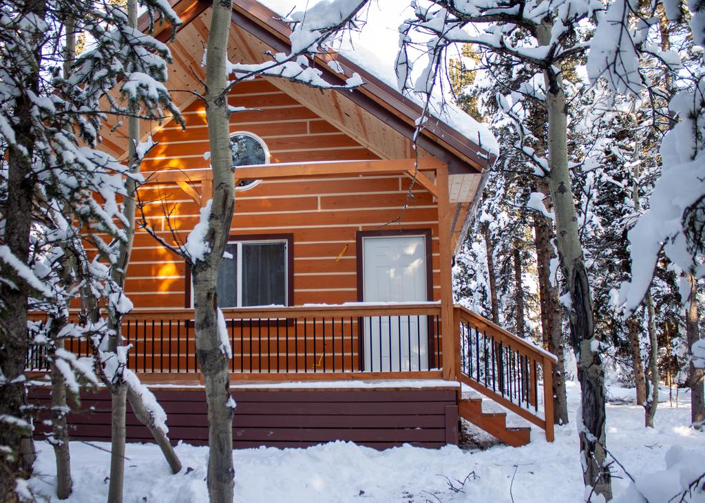 Denali Wild Stay - Redfox Cabin, Free Wifi - thumb 0