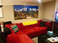 Denver Blue Bear Den 3BR 2BA Private Apartment Tourism Bookings