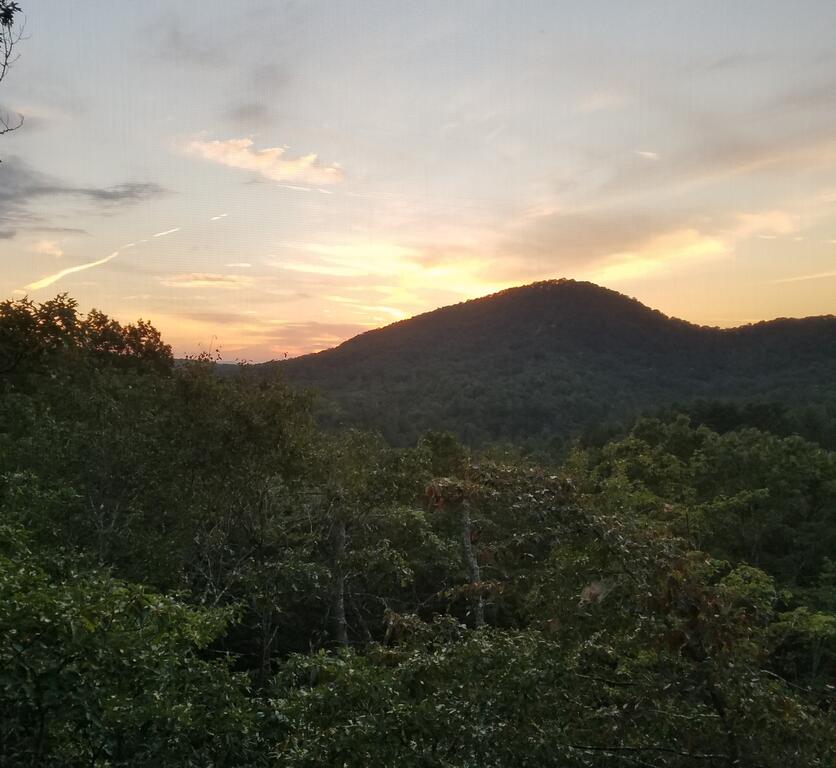 DOGWOOD DREAM - Amazing Family Retreat Surrounded By Mountain Laurels - thumb 0