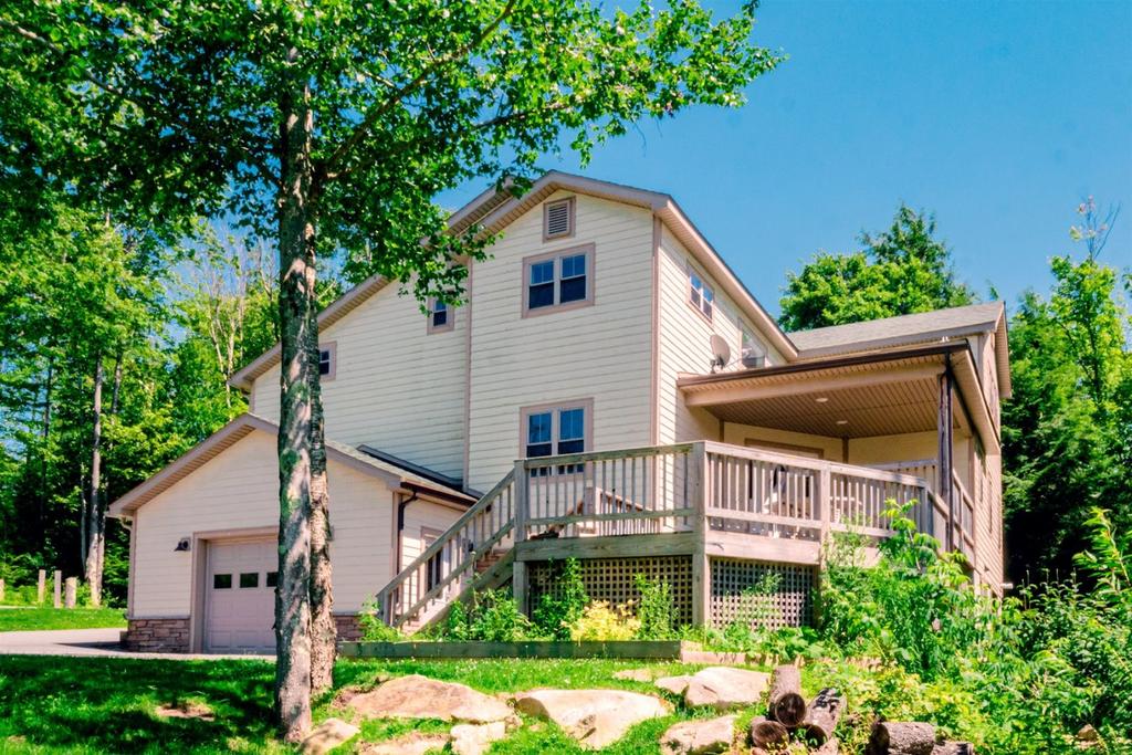 Dreamweaver - thumb 0