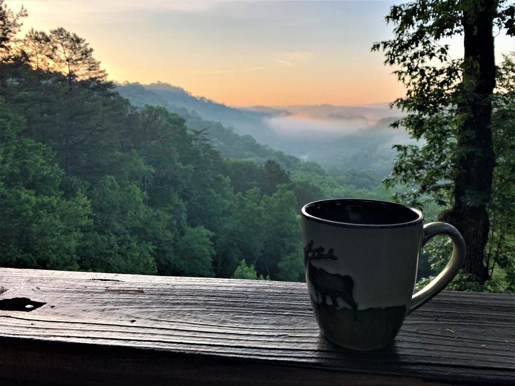Eagle View Lodge - thumb 1
