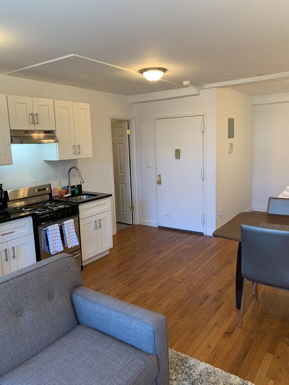 East Williamsburg Brooklyn 30 Day Rentals - thumb 1