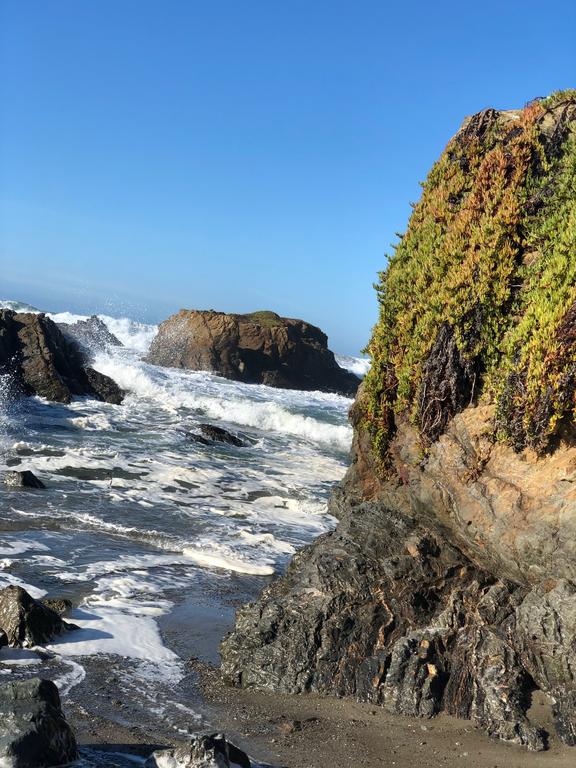 Ebb Tide Lodge - thumb 0