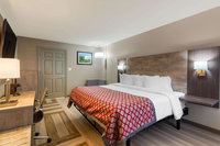 Econo Lodge Tourism Bookings