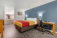 Book Nacogdoches Hotels, Tourism Bookings Tourism Bookings