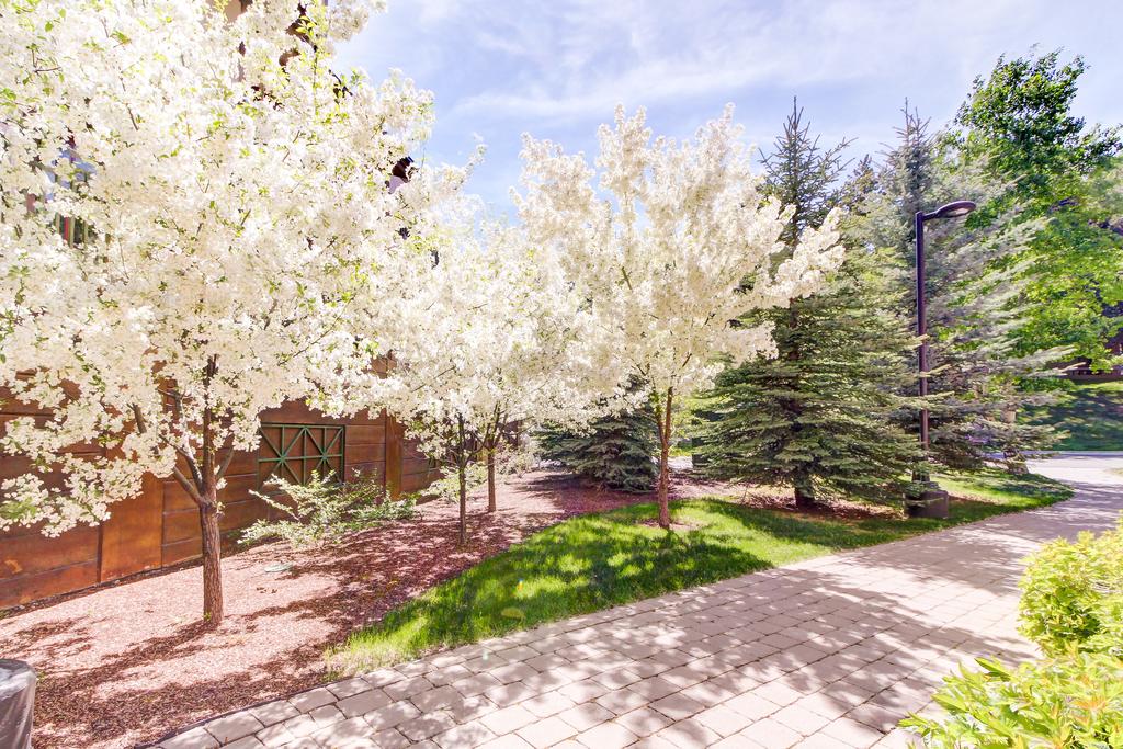 Elkhorn Angani 2087 - thumb 3