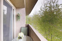 Elkhorn Escape Tourism Bookings