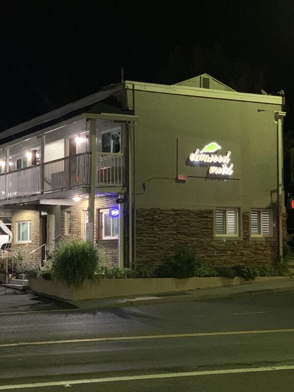 Elmwood Motel - thumb 2