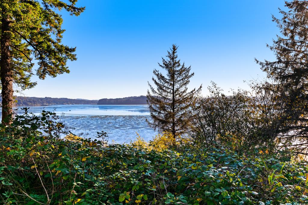 Escape At Yaquina Bay - thumb 0