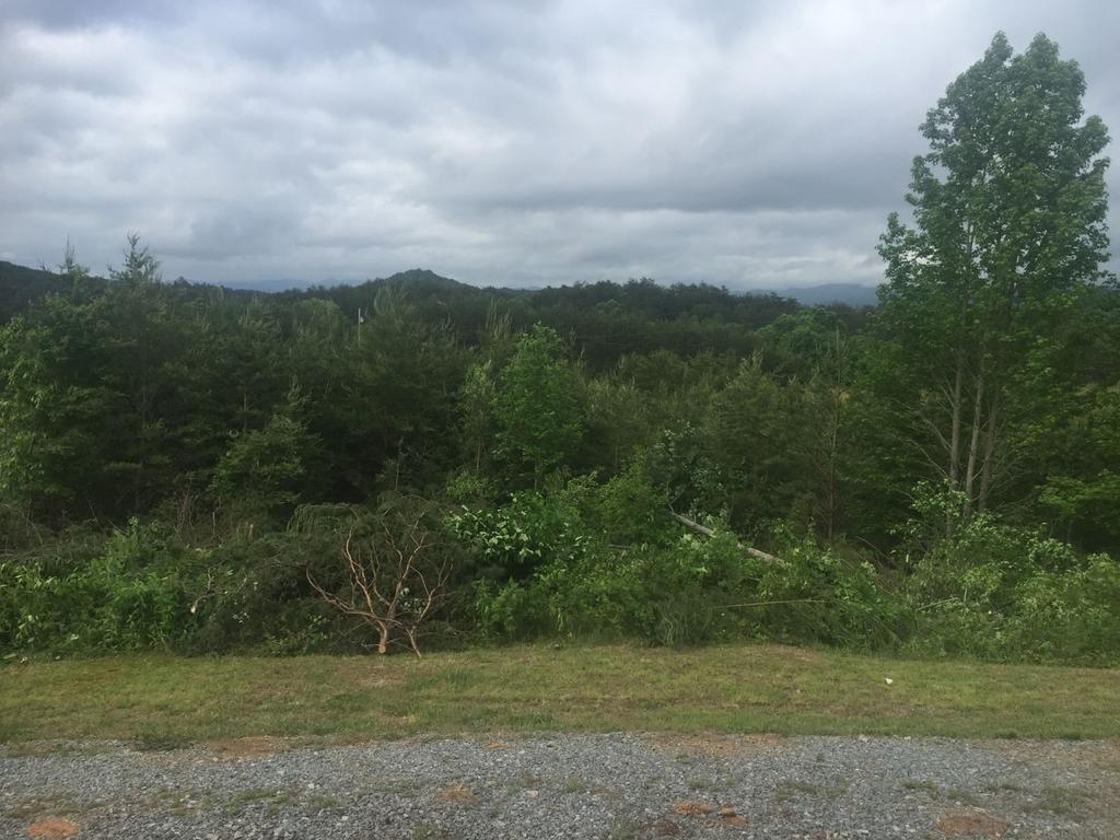 Eula Mae- Ocoee River Area - thumb 2