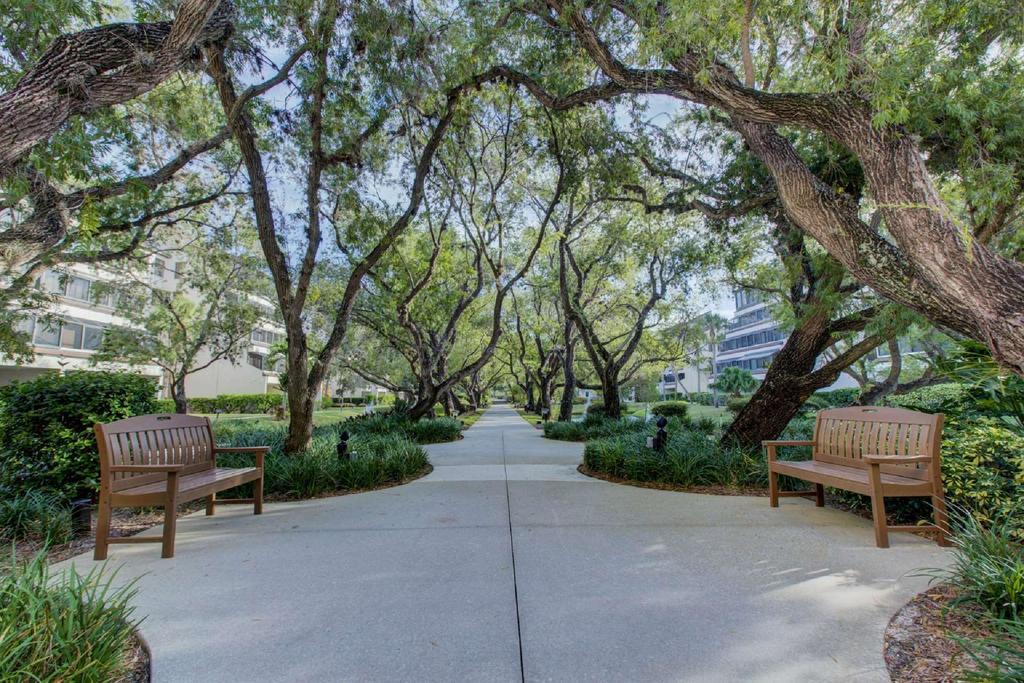 Excelsior Beach To Bay-Bayside - thumb 2