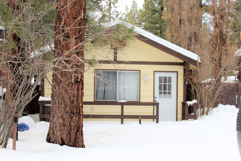 Family Bear - thumb 0