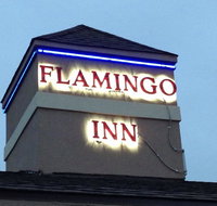 Flamingo Inn - USA Accommodation