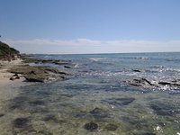 Florida apartment Tourism Bookings