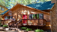 Forest Chalet Tourism Bookings