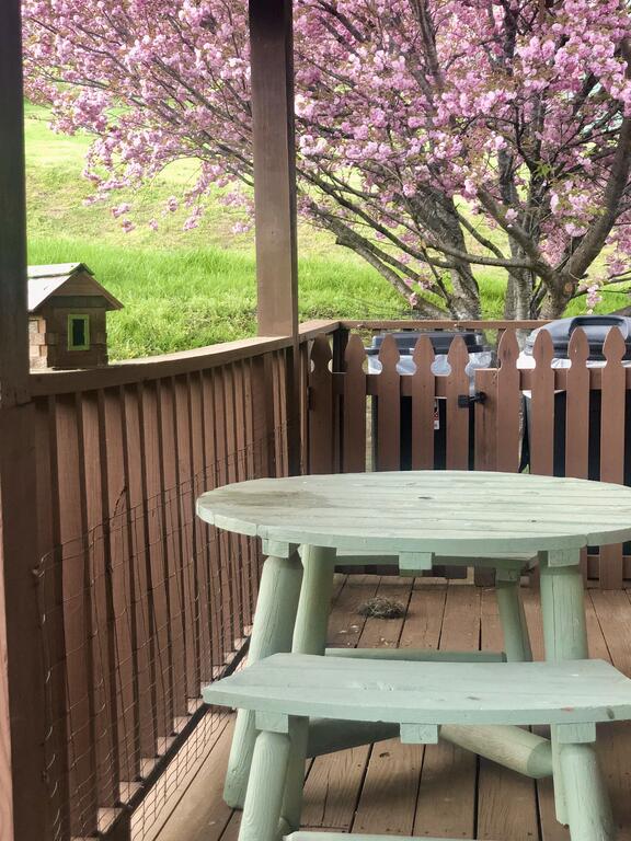 Forest Indulgence - thumb 3