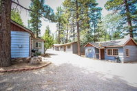 Gray Fox Tourism Bookings