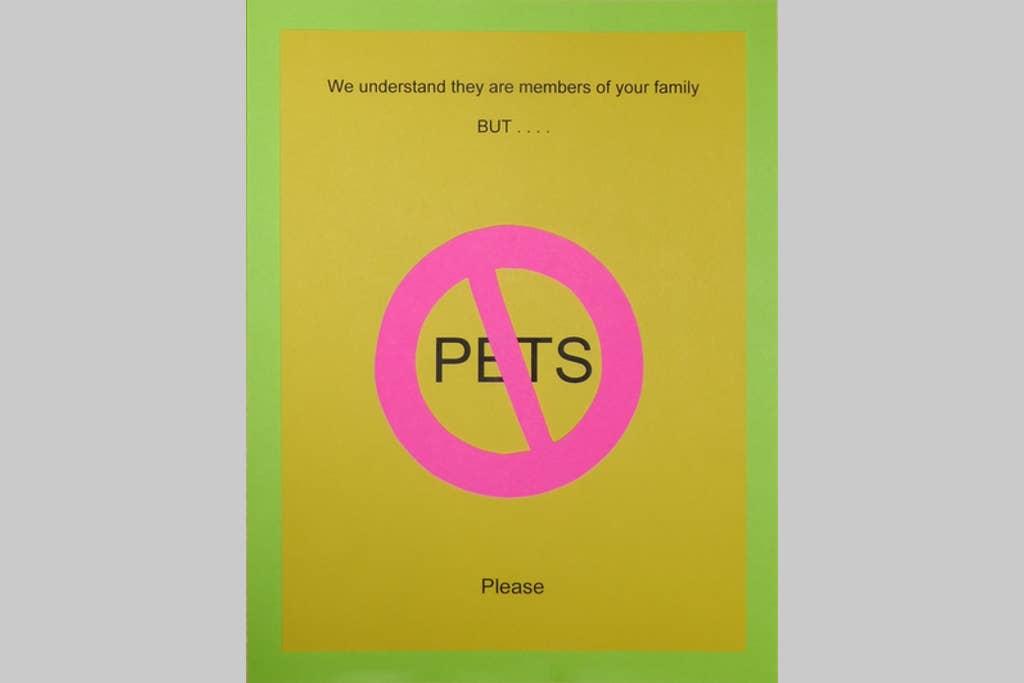 Hall Creek Cabin - thumb 2