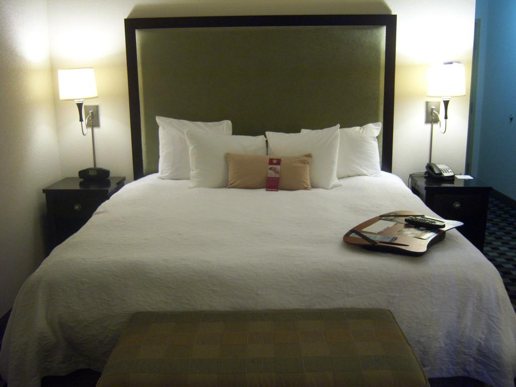 Hampton Inn & Suites Houston-Bush Intercontinental Airport - thumb 3
